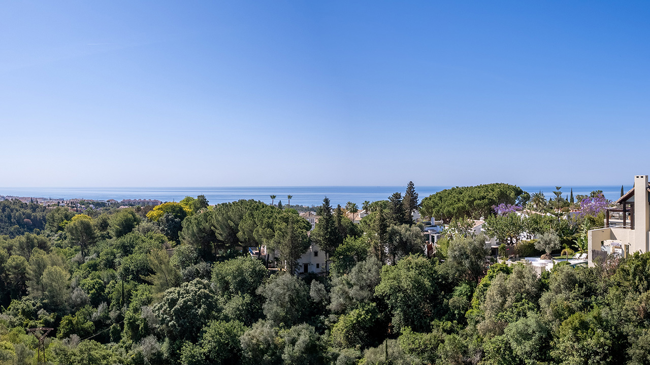 South views - The Collection Camojan Marbella